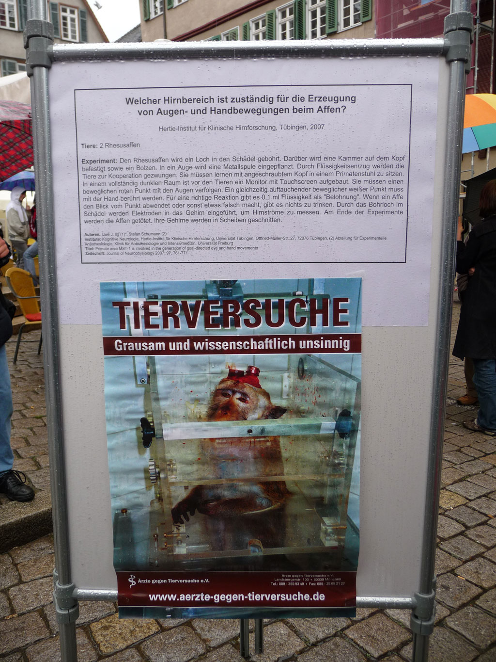 Bilder einer Demonstration in Tübingen