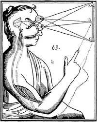 Wird die Wahrnehmung durch den Verstand oder durch die Sinne bestimmt? (Bild: René Descartes, 1677/zvg)